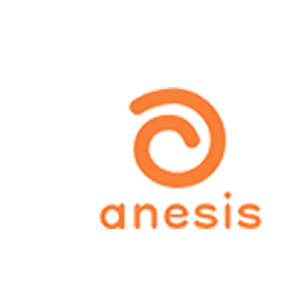アネシス-anesis-